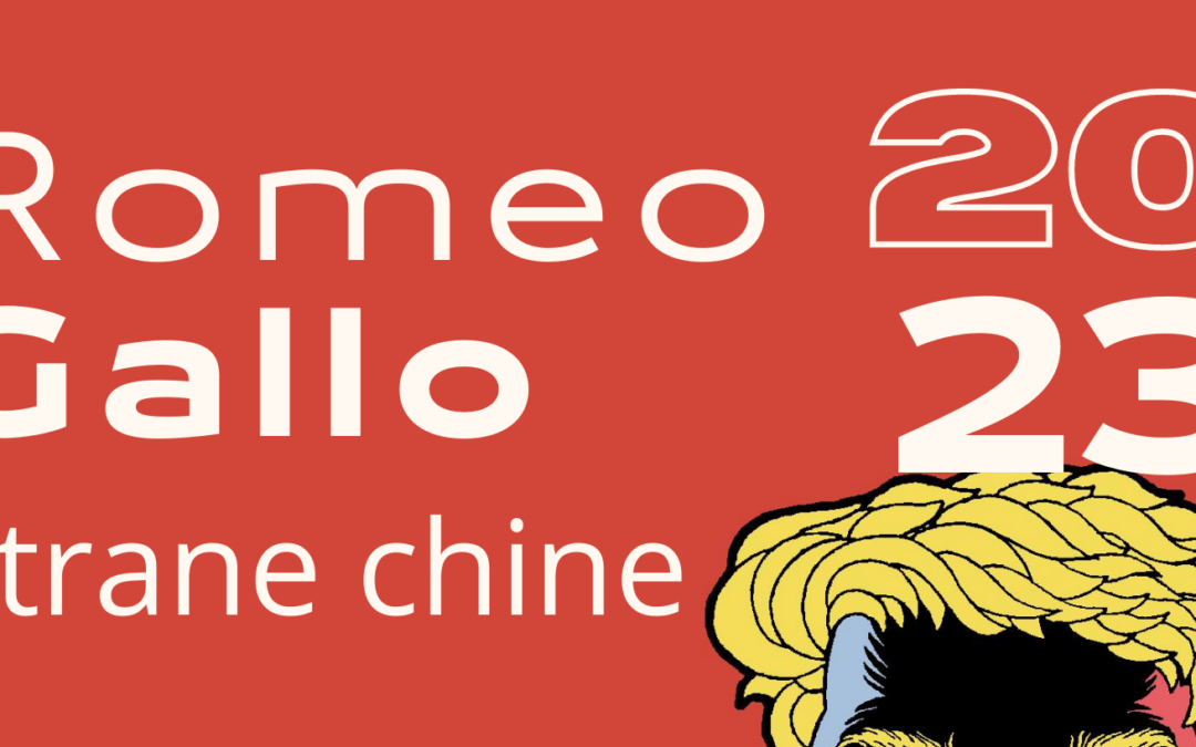 “Strane Chine”, a Matera nella sede di Strane Nuvole la mostra del fumettista Romeo Gallo